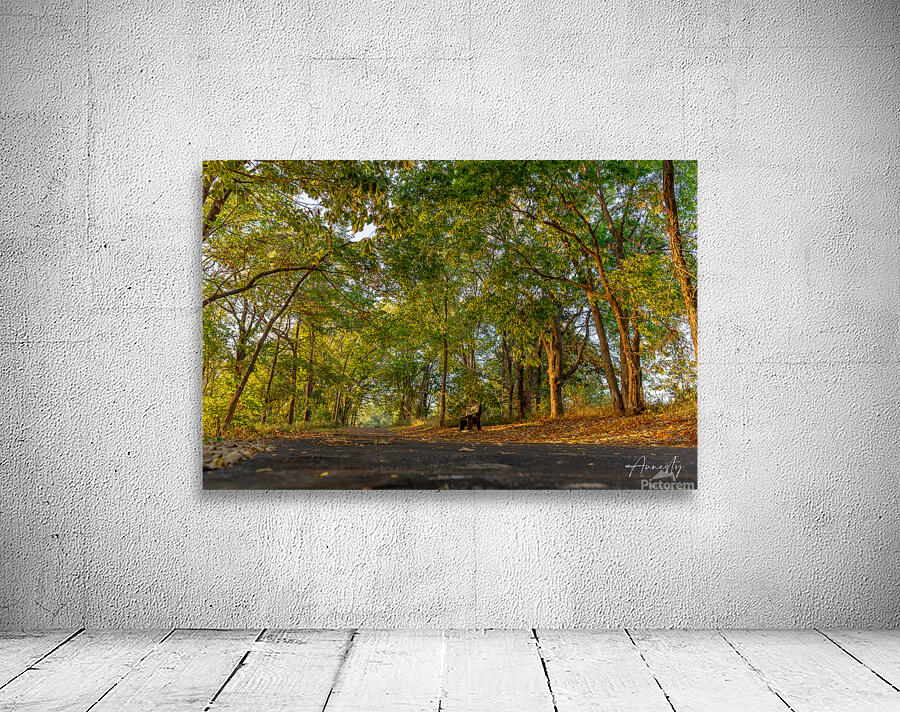 Stillness Wall Preview
