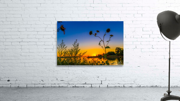 Through the Weeds Wall Preview