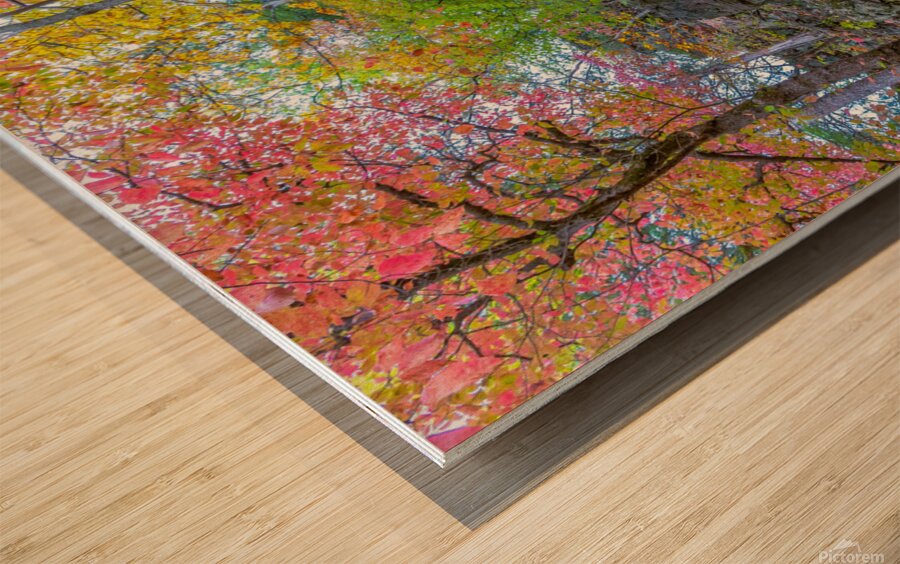 Path Up Wood print