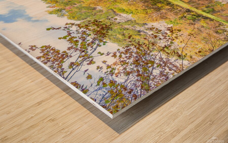 Mirror Reflection Wood print