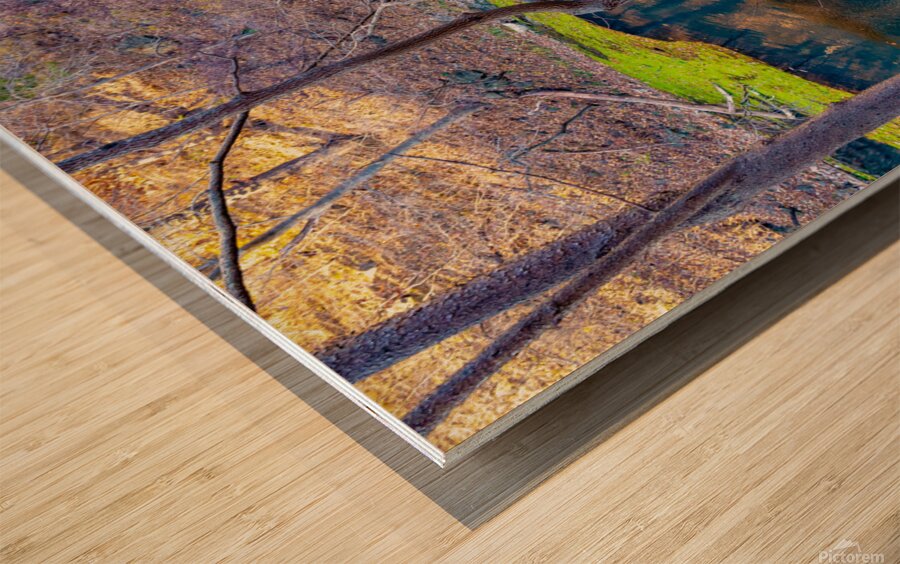 Calmness Wood print