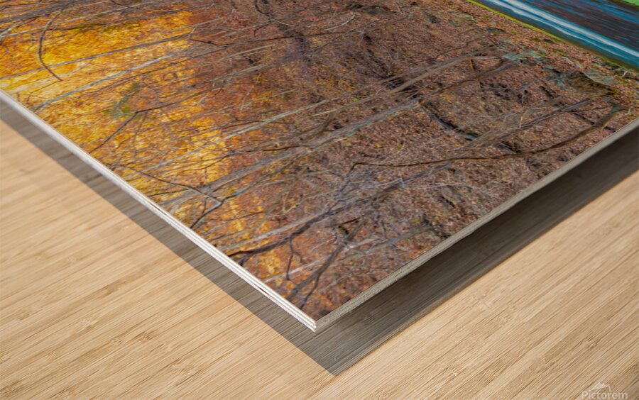 Flowing Stream Wood print