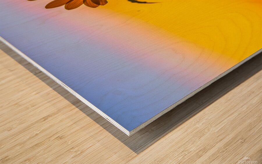 Sunflower at Sunset Wood print