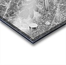 Icy Acrylic print