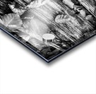 Detail III Acrylic print