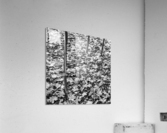 Three lines Acrylic Print