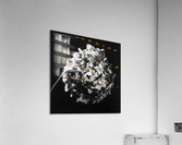 Flowers study II Acrylic Print