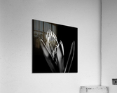 Flowers study III Acrylic Print
