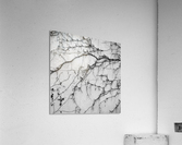 Living Wall Acrylic Print