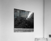Ambient Light Acrylic Print