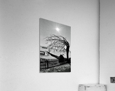 Fence, tree, well Acrylic Print