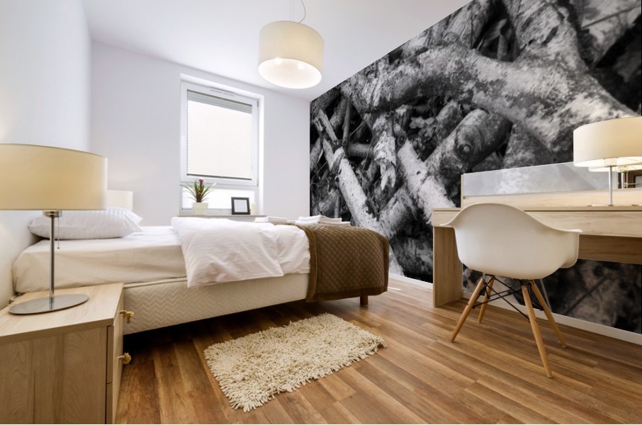 Forest IX  Mural print