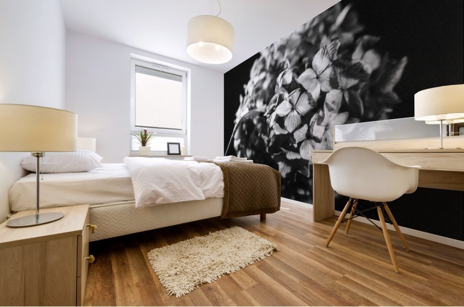 Flowers study II Mural print