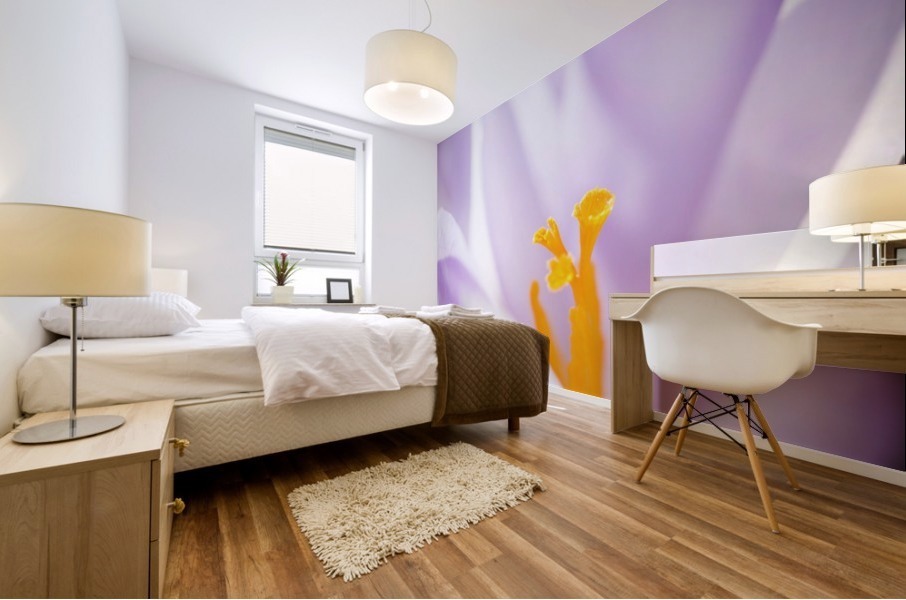 Crocus flower Mural print