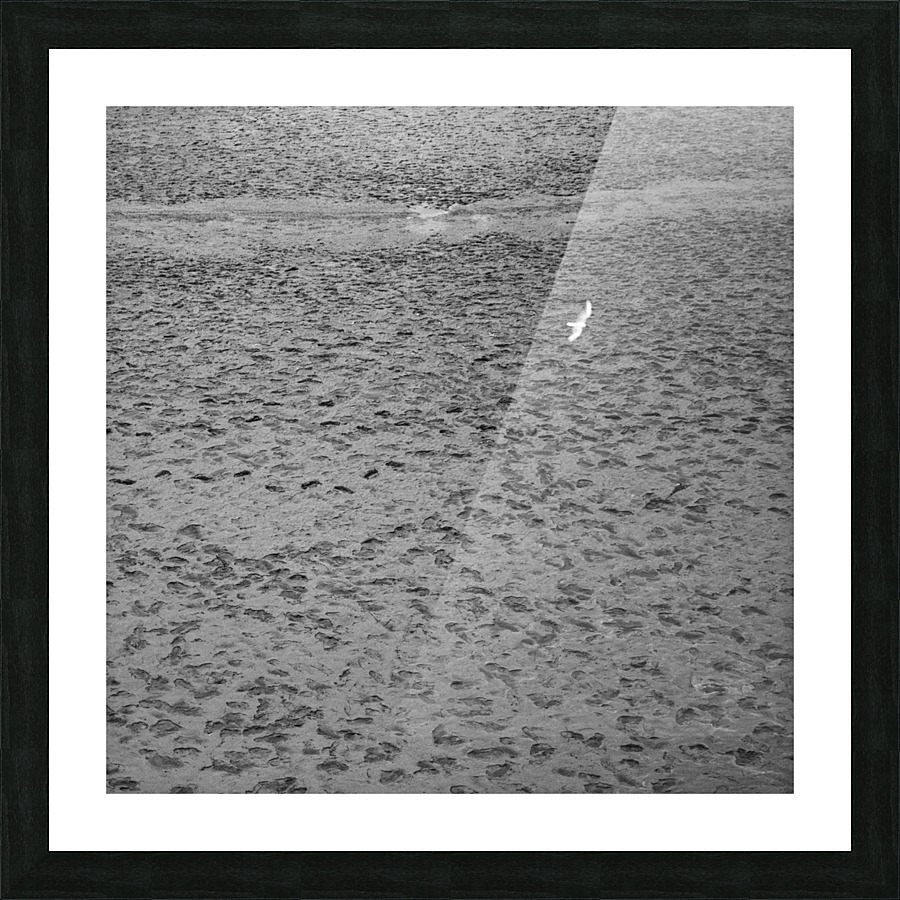 Traces Picture Frame print