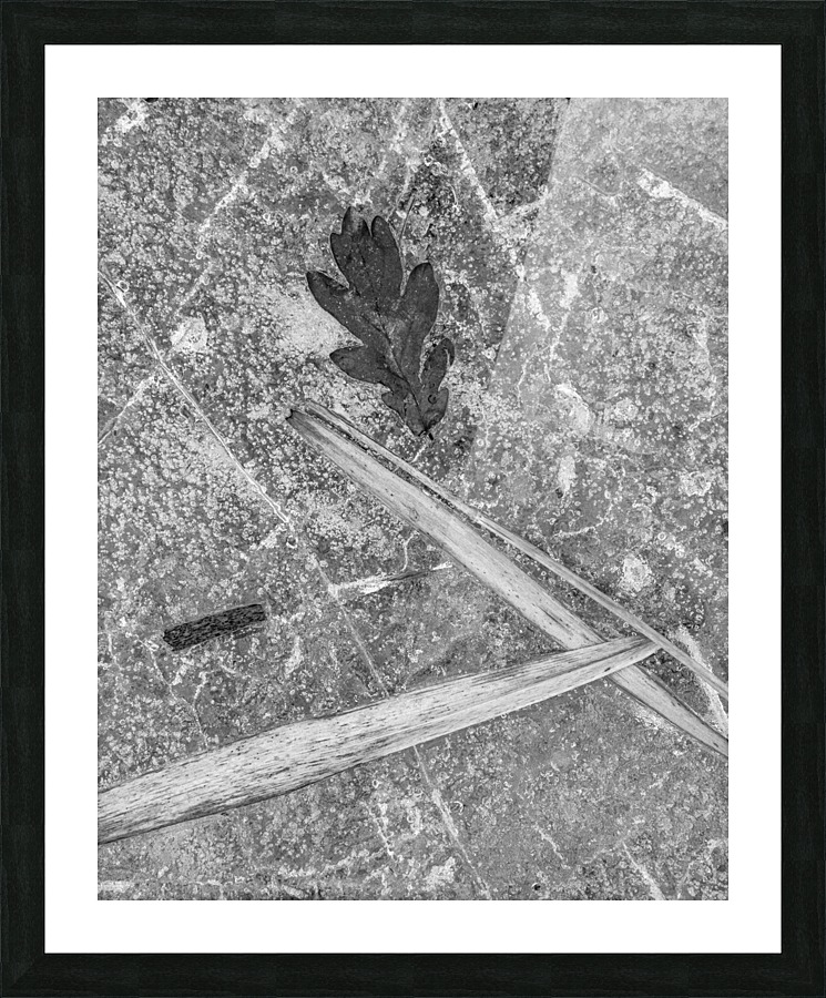 Icy Picture Frame print
