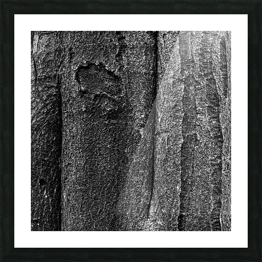 Forest III Picture Frame print