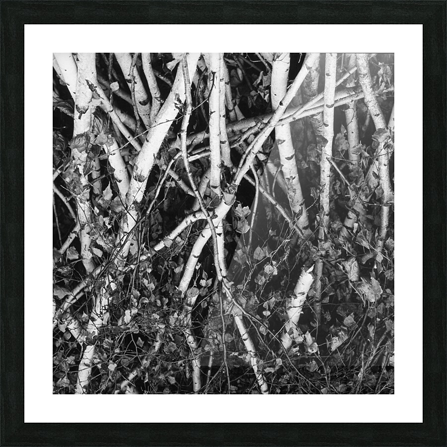 Detail II Picture Frame print