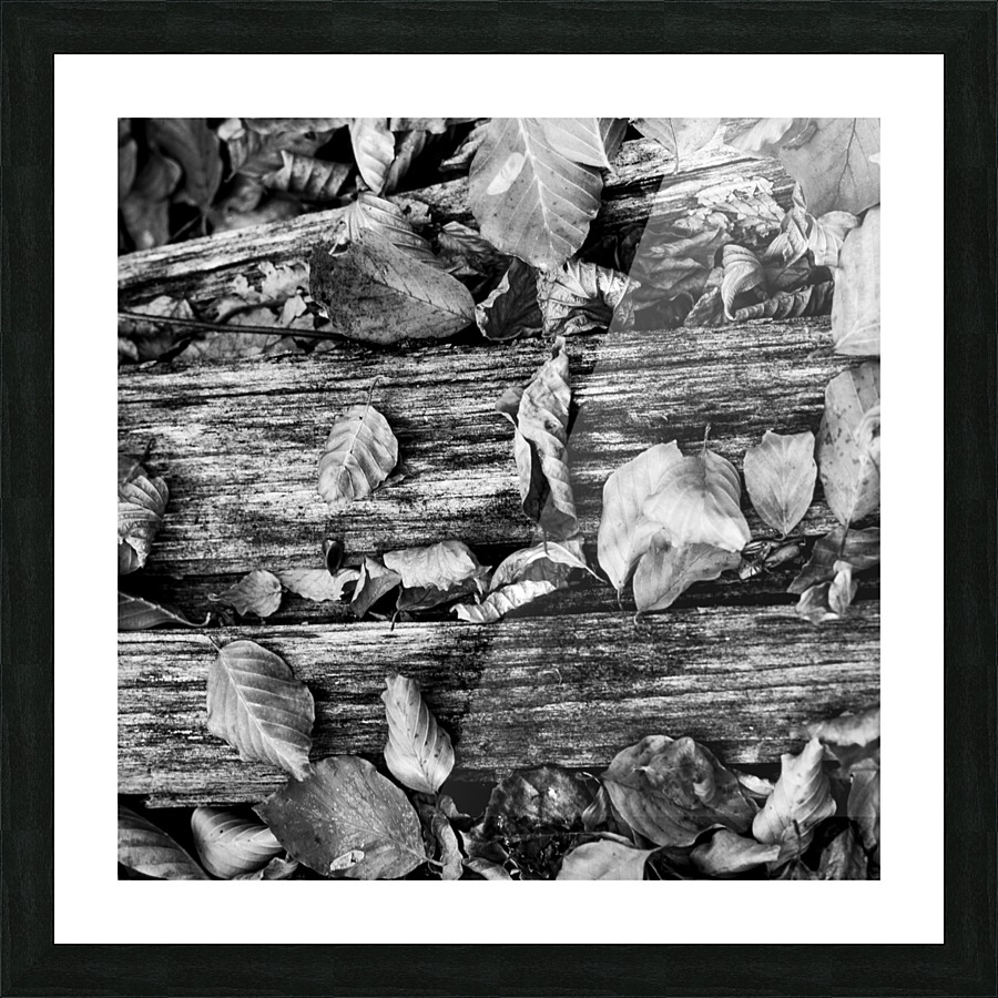 Detail III Picture Frame print
