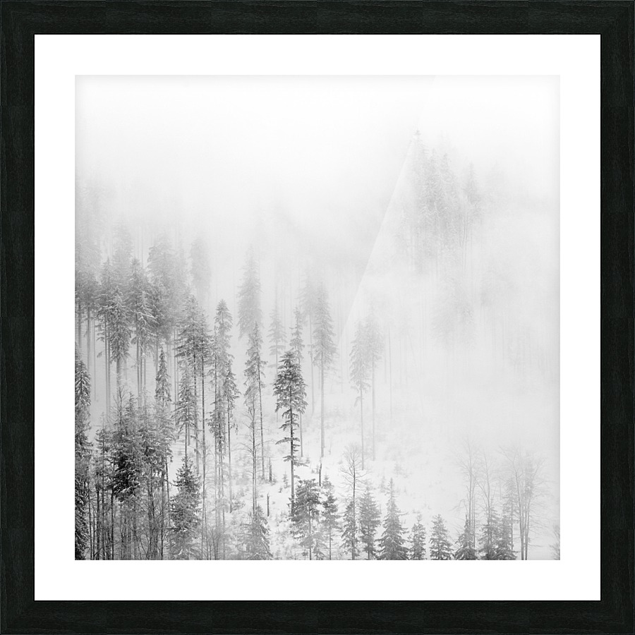 Winter Landscape II Picture Frame print