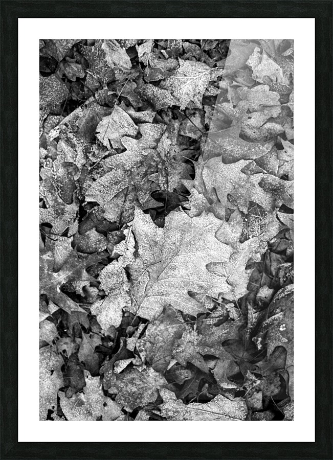 Under the tree Picture Frame print