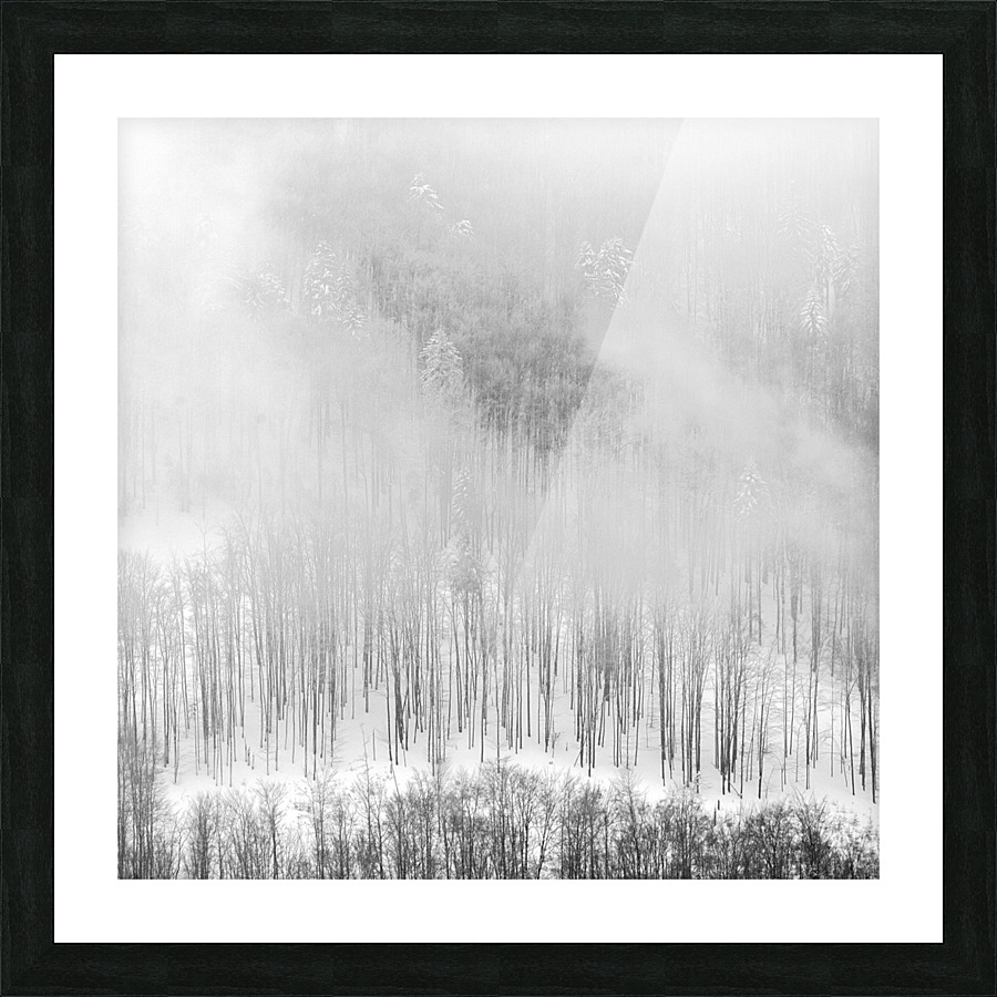 Winter Landscape IV Picture Frame print
