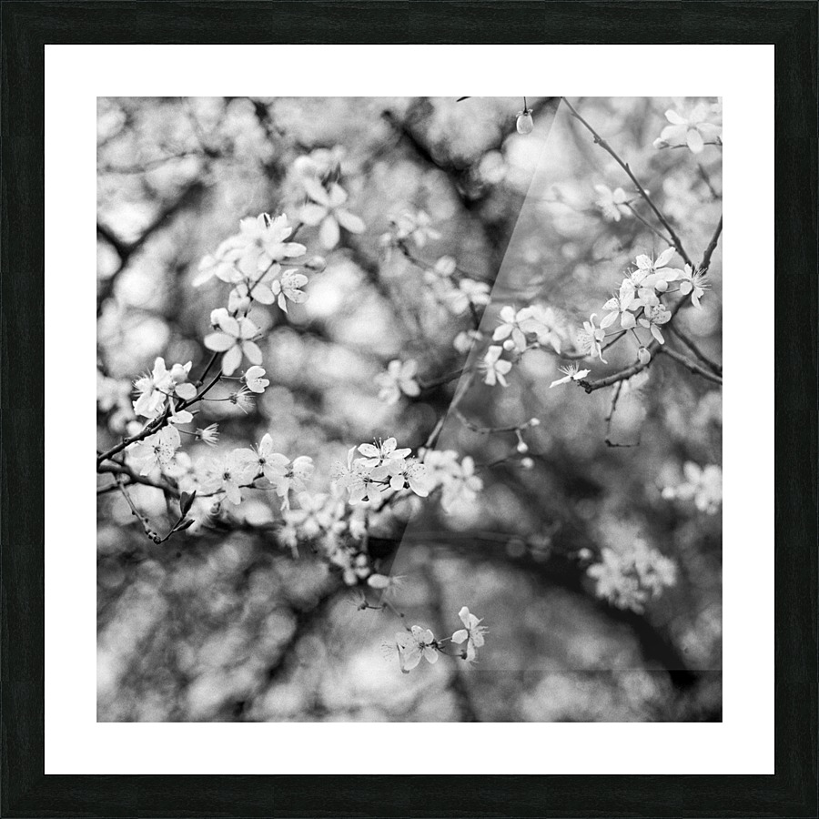 Flowers I Picture Frame print