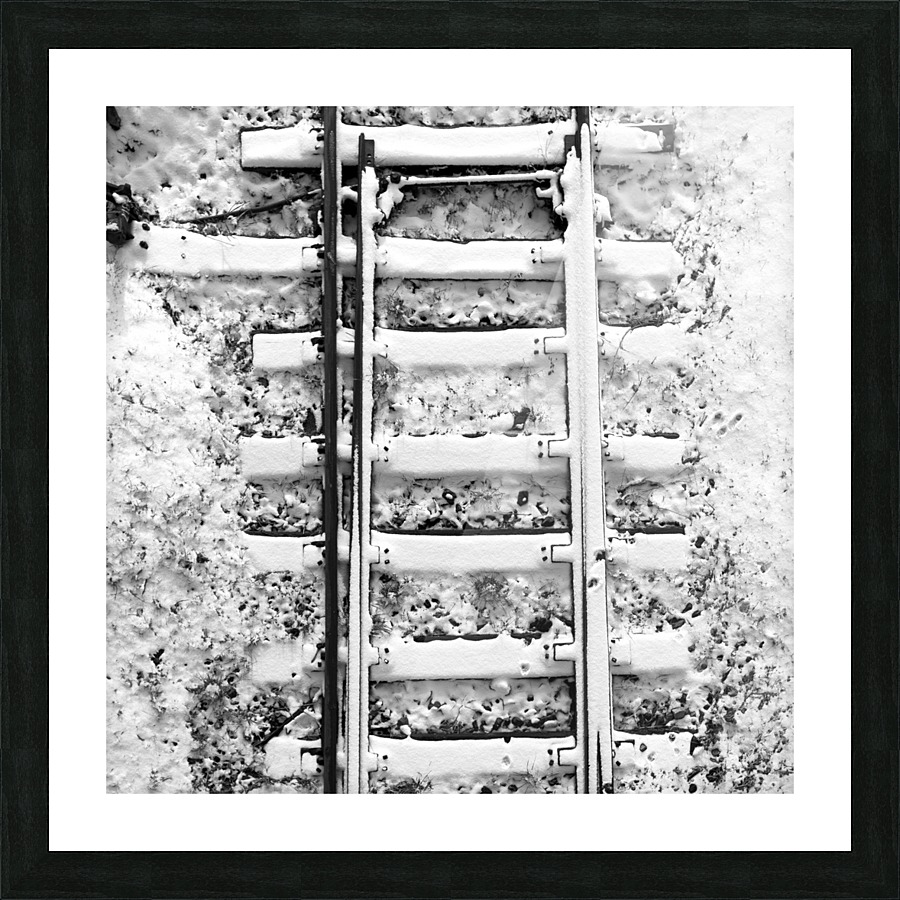 Tracks Picture Frame print
