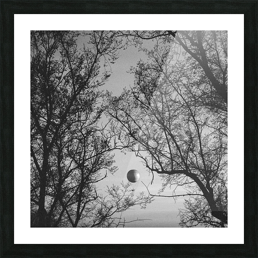 The Balloon Picture Frame print