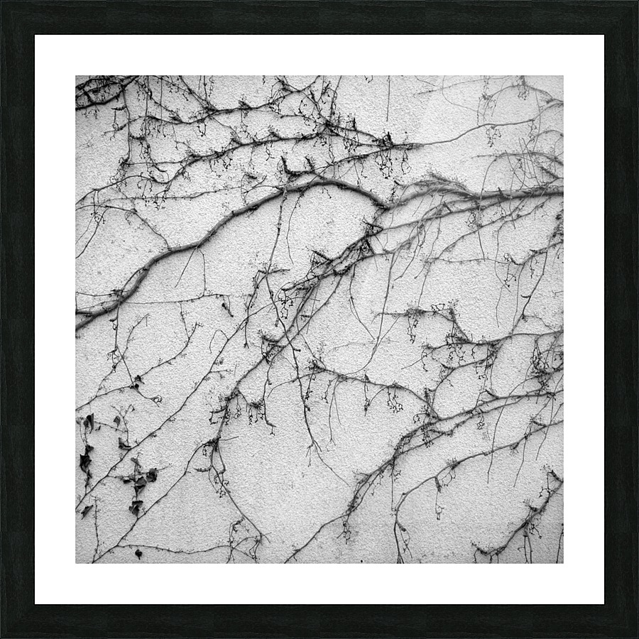 Living Wall Picture Frame print