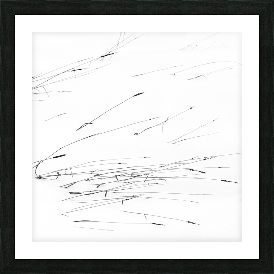 Drawings Picture Frame print