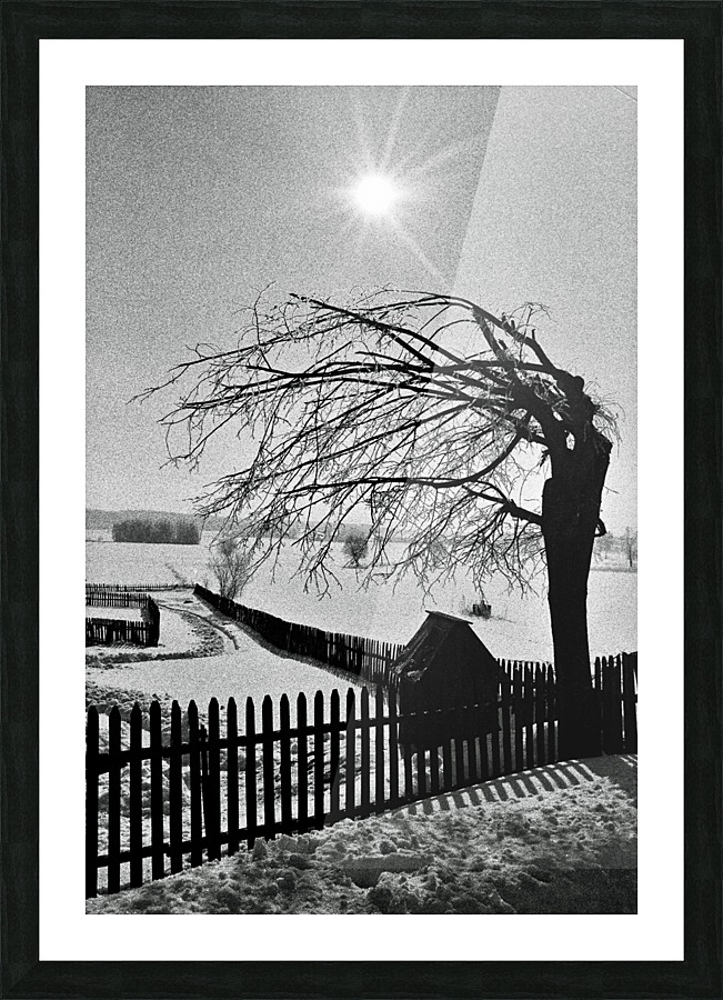 Fence, tree, well Picture Frame print