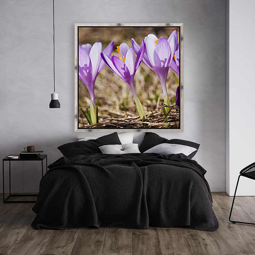 Crocuses Reproduction