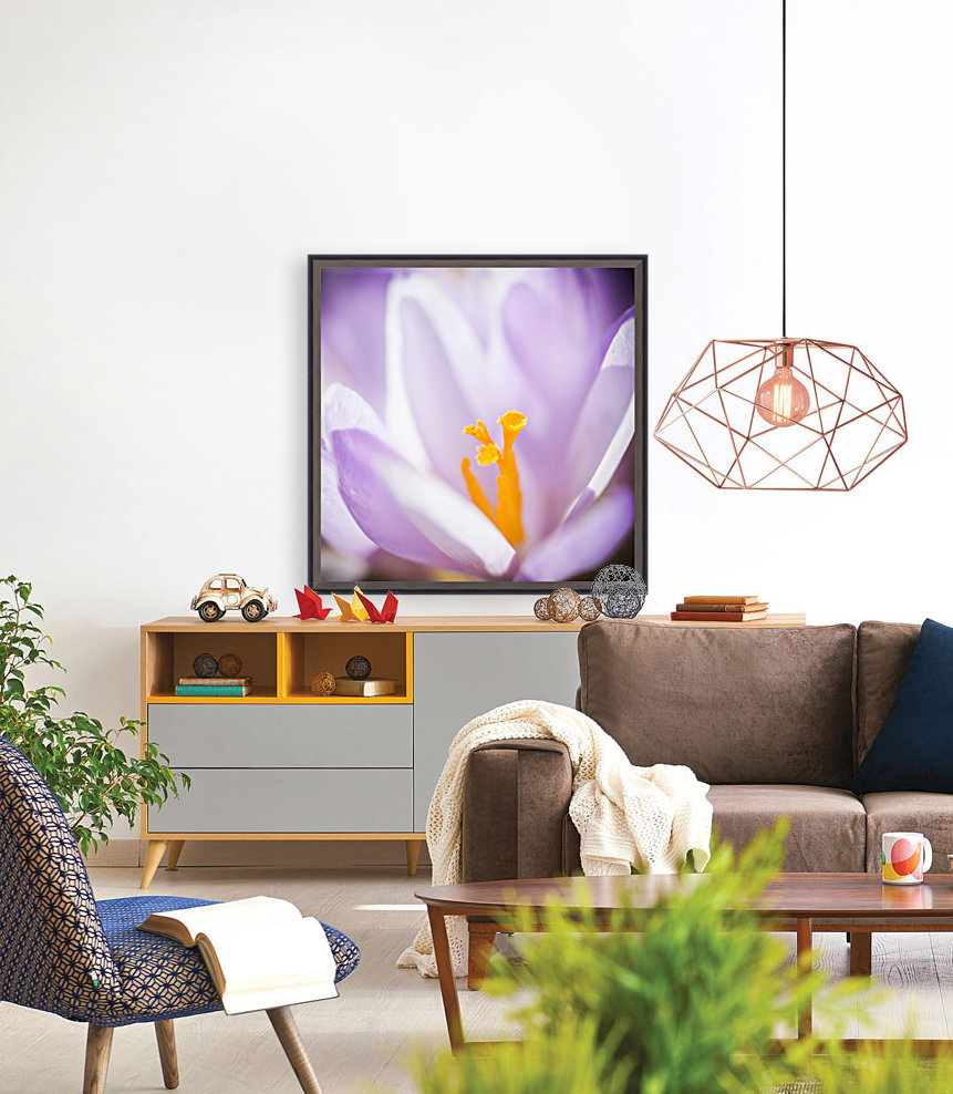 Crocus flower Reproduction