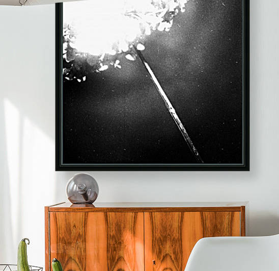 Flowers abstract studium by Marcin Lukaszewicz