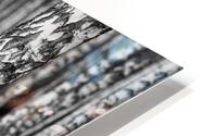 The Birches HD Metal print