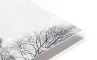 Playground HD Metal print