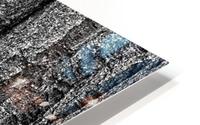Forest III HD Metal print