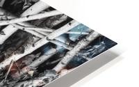 Detail II HD Metal print
