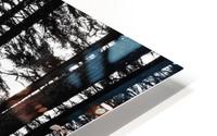 Trees II HD Metal print