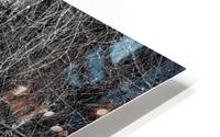 Trees III HD Metal print