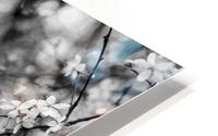 Flowers I HD Metal print
