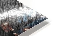 Ambient Light HD Metal print