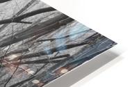 TreeXs HD Metal print