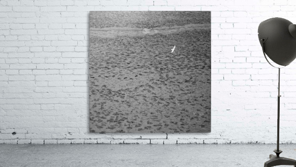 Traces Wall Preview
