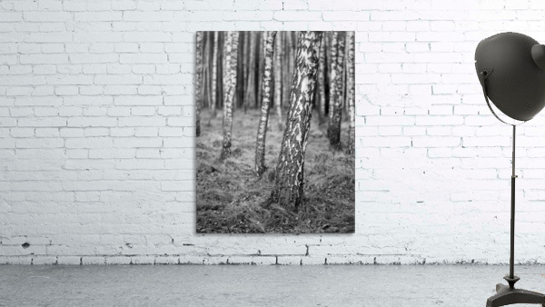 The Birches Wall Preview