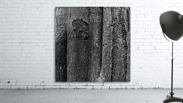 Forest III Wall Preview