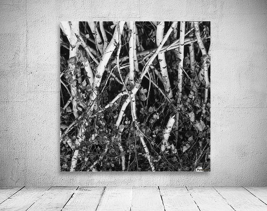 Detail II Wall Preview