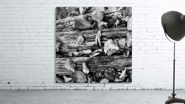 Detail III Wall Preview