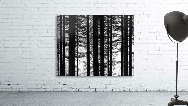 Trees II Wall Preview